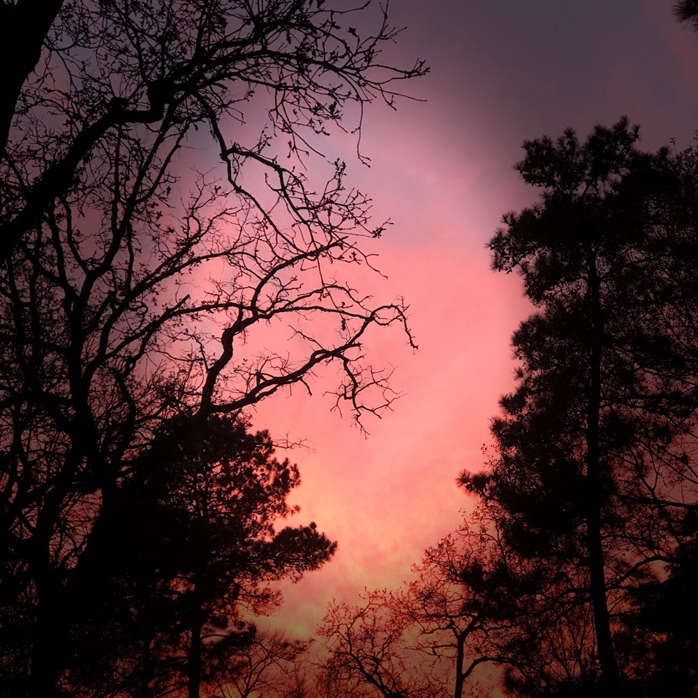 Meet your Posher, Leslie